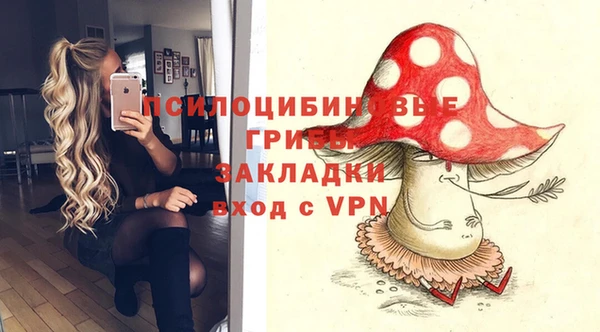 первитин Бородино