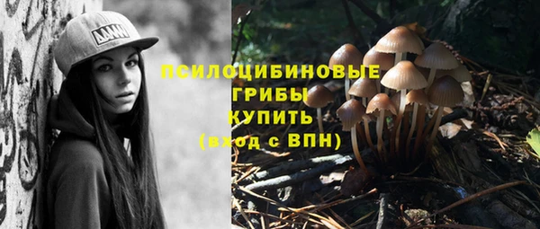 первитин Бородино
