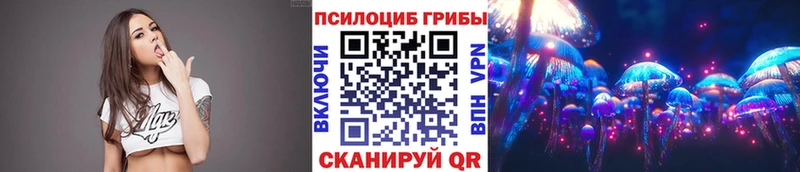 мориарти как зайти  Киселёвск  Псилоцибиновые грибы GOLDEN TEACHER 